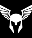Black and white logo of Viking helmet with wings