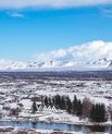 Icelandic scenery. Blue sky, white snow in a forest with pine trees