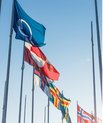 A line of Nordic flags, starting with the flag of the Nordic Council (blue with a white bird).