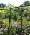 Wire fencing with greenery behind